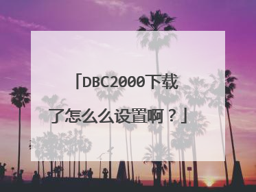 DBC2000下载了怎么么设置啊?