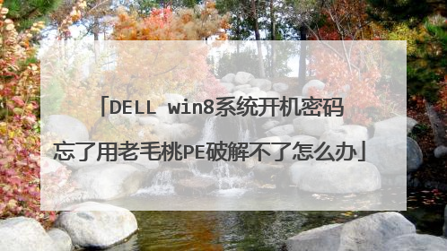 DELL win8系统开机密码忘了用老毛桃PE破解不了怎么办