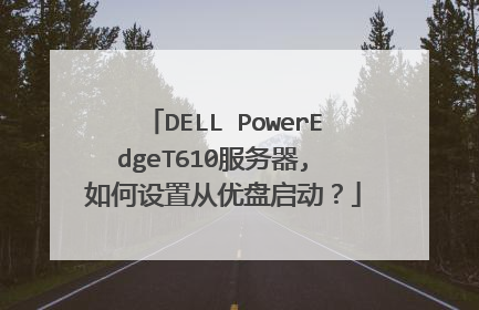 DELL PowerEdgeT610服务器, 如何设置从优盘启动?