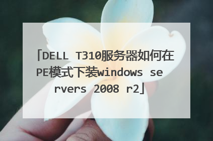 DELL T310服务器如何在PE模式下装windows servers 2008 r2