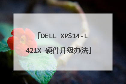 DELL XPS14-L421X 硬件升级办法