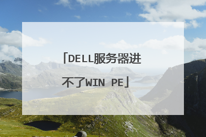 DELL服务器进不了WIN PE