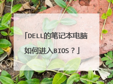 DELL的笔记本电脑如何进入BIOS?