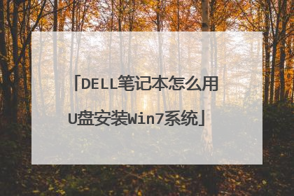 DELL笔记本怎么用U盘安装Win7系统