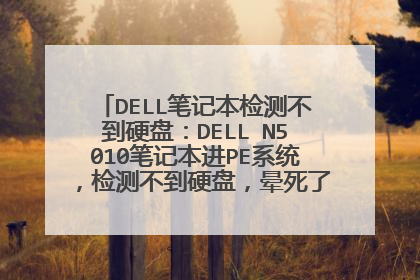 DELL笔记本检测不到硬盘:DELL N5010笔记本进PE系统,检测不到硬盘,晕死了,系统做不了