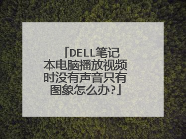 DELL笔记本电脑播放视频时没有声音只有图象怎么办?