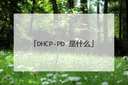DHCP-PD 是什么