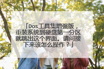 Dos工具集增强版,重装系统到硬盘第一分区就跳出这个界面。请问接下来该怎么操作?