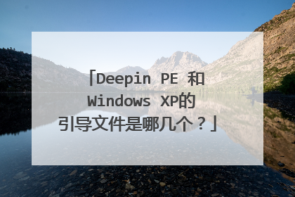Deepin PE 和 Windows XP的引导文件是哪几个？