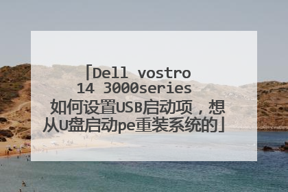 Dell vostro 14 3000series 如何设置USB启动项,想从U盘启动pe重装系统的