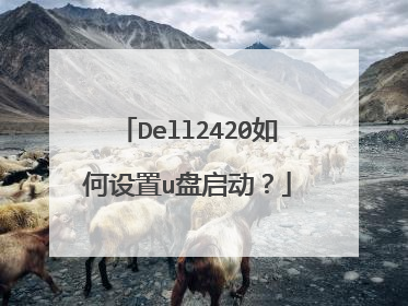 Dell2420如何设置u盘启动?