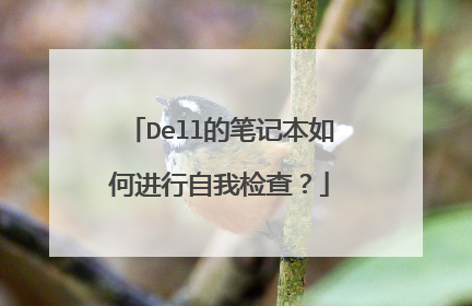 Dell的笔记本如何进行自我检查?
