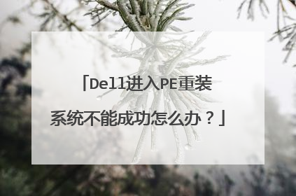 Dell进入PE重装系统不能成功怎么办?