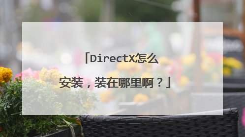 DirectX怎么安装,装在哪里啊?