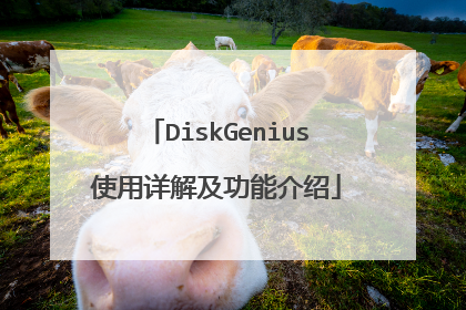 DiskGenius使用详解及功能介绍