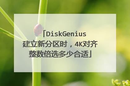 DiskGenius建立新分区时,4K对齐整数倍选多少合适