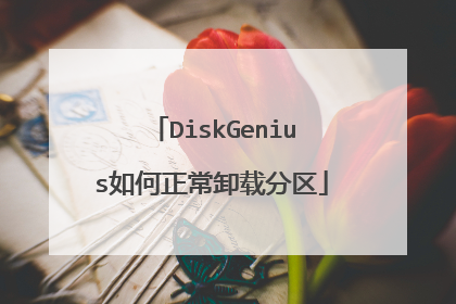 DiskGenius如何正常卸载分区