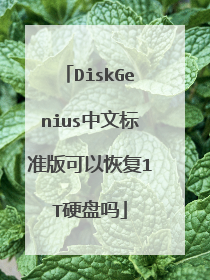 DiskGenius中文标准版可以恢复1T硬盘吗