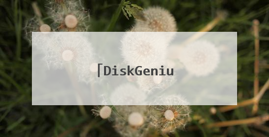 DiskGenius 有两个逻辑分区显示磁盘未格式化