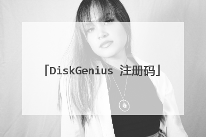 DiskGenius 注册码