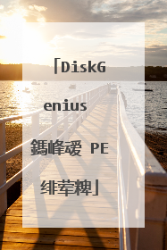 DiskGenius 鎷峰叆 PE绯荤粺