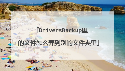 DriversBackup里的文件怎么弄到别的文件夹里