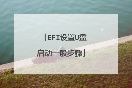 EFI设置U盘启动一般步骤