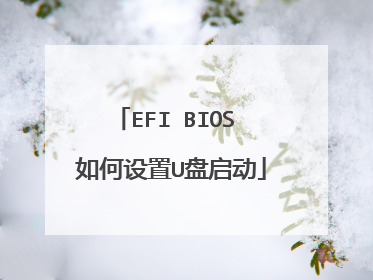 EFI BIOS 如何设置U盘启动
