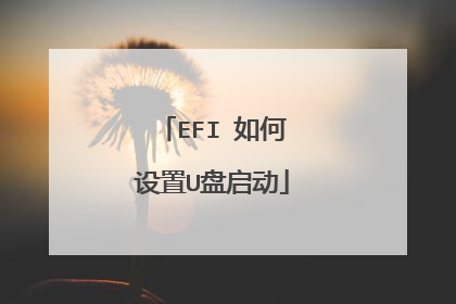 EFI 如何设置U盘启动