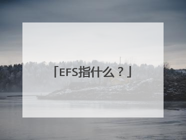 EFS指什么？