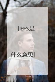EFS是什么意思