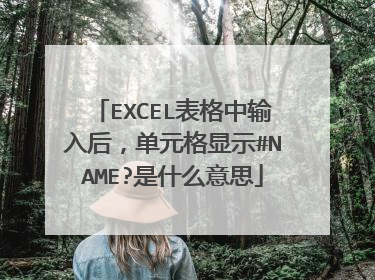 EXCEL表格中输入后,单元格显示#NAME?是什么意思