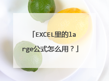 EXCEL里的large公式怎么用?