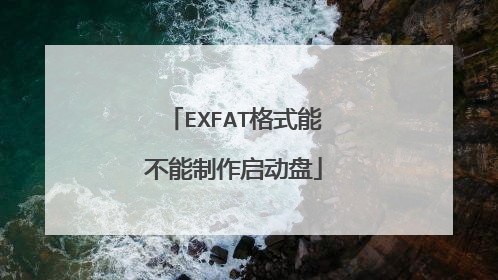 EXFAT格式能不能制作启动盘