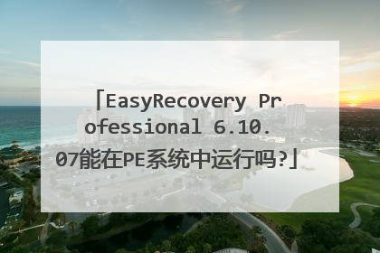EasyRecovery Professional 6.10.07能在PE系统中运行吗?