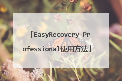 EasyRecovery Professional使用方法
