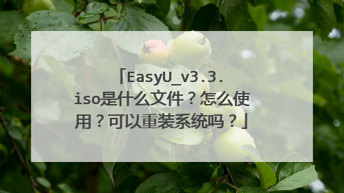 EasyU_v3.3.iso是什么文件?怎么使用?可以重装系统吗?