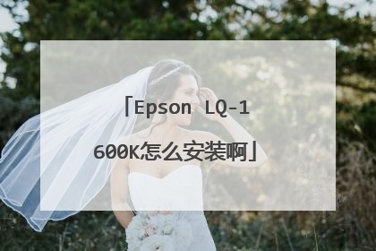 Epson LQ-1600K怎么安装啊