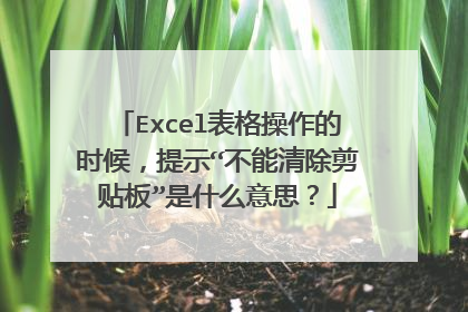 Excel表格操作的时候,提示“不能清除剪贴板”是什么意思?