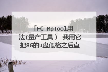 FC MpTool用法(量产工具) 我用它把8G的u盘低格之后直接变成256M 现在怎么设置把他变成8G