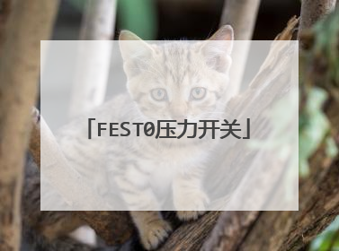 FEST0压力开关