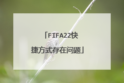 FIFA22快捷方式存在问题