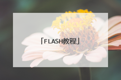 FLASH教程