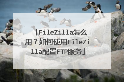 FileZilla怎么用?如何使用FileZilla配置FTP服务