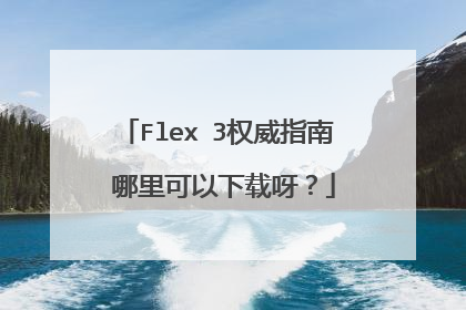 Flex 3权威指南 哪里可以下载呀?