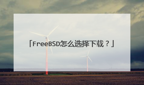 FreeBSD怎么选择下载?