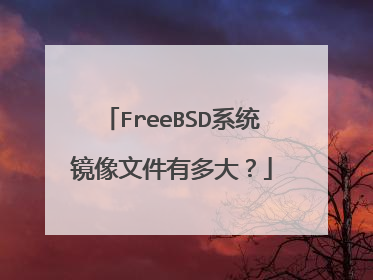 FreeBSD系统镜像文件有多大?