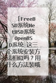 FreeBSD系统NetBSD系统OpenBSD系统 这三个系统安装方法相似吗?用什么方法装哦?