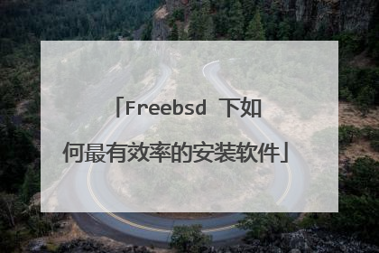 Freebsd 下如何最有效率的安装软件