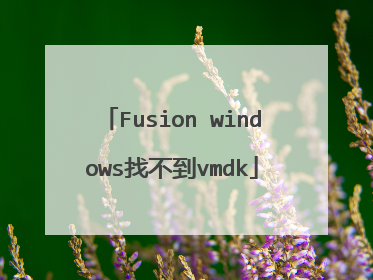 Fusion windows找不到vmdk